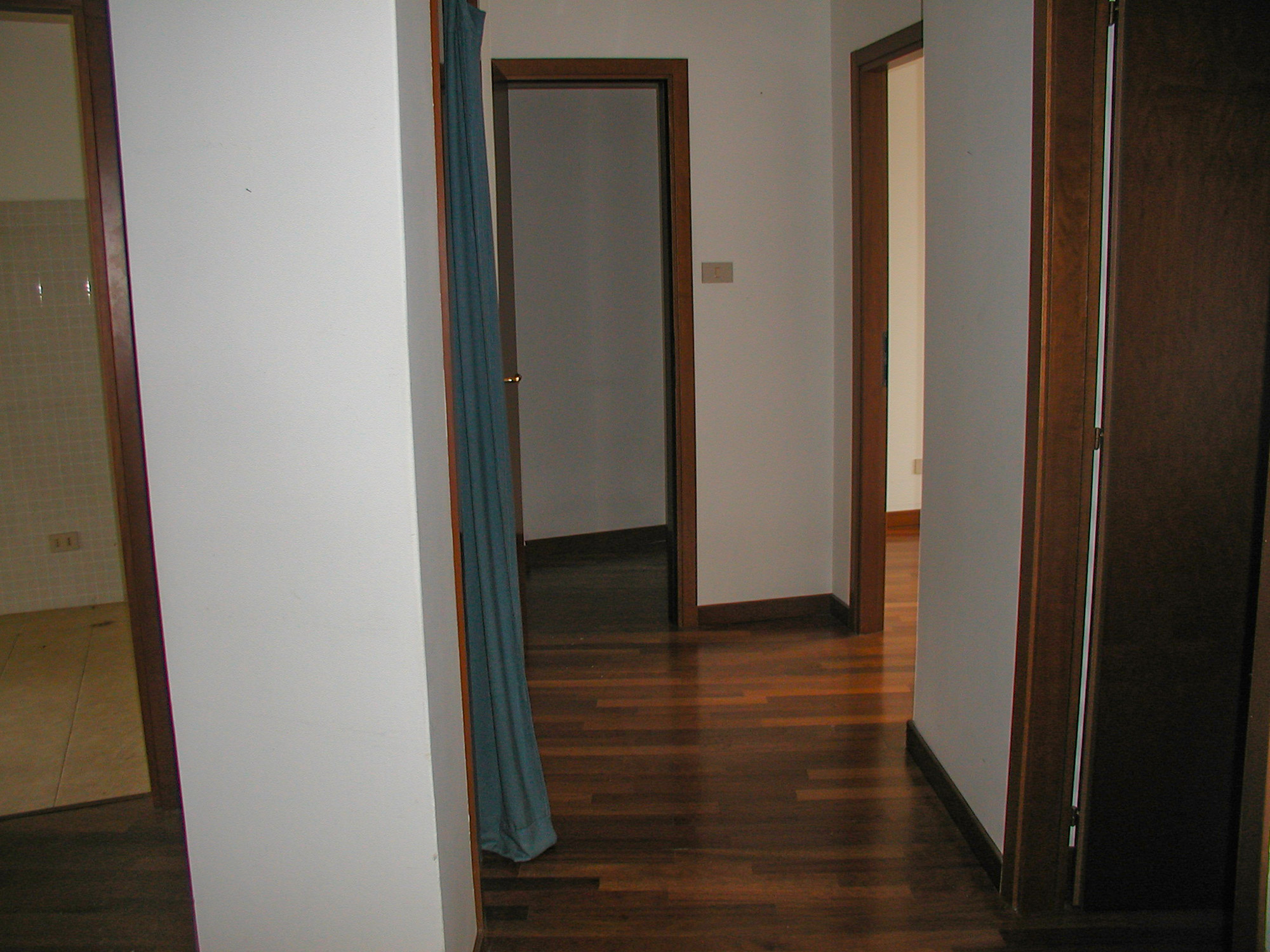 P1010013_MOD